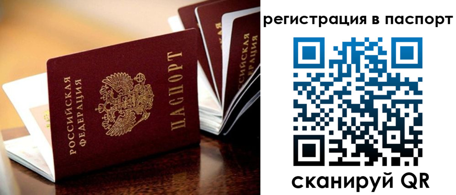 пропишу в квартире в Балашихе